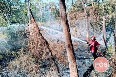 Dinas Damkartan Karangasem Siap Tangani Kebakaran Lahan Produktif