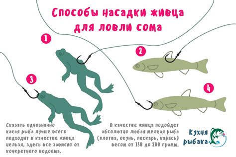 Ловля сома с лодки – техника, снасти, приманка и экипировка