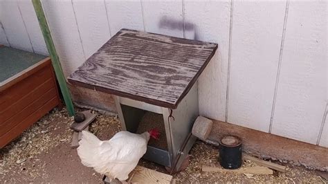 A Rat Proof Chicken Feeder In A Backyard In Arizona Youtube