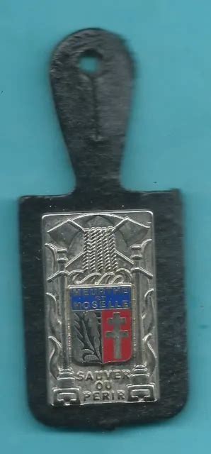 Insigne Pucelles De Sapeurs Pompiers De Meurthe Et Moselle Departement