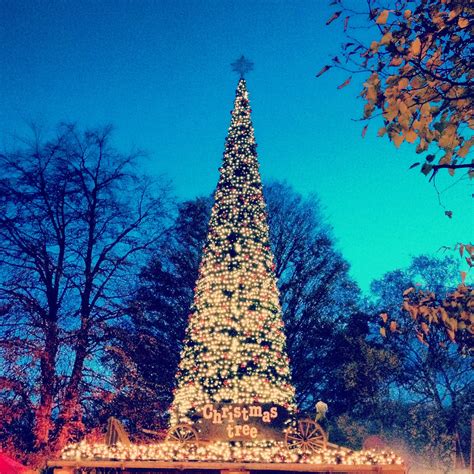 Winter Wonderland - Christmas Tree - Hyde Park - 2013 Winter Wonderland Hyde Park, Winter ...