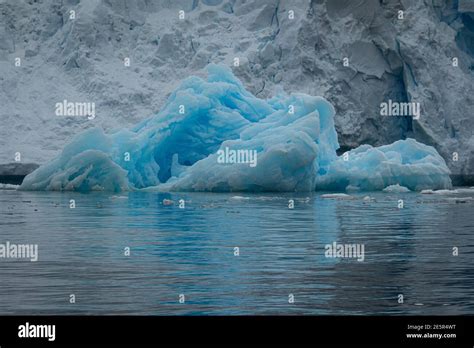 Icebergs in Antarctica Stock Photo - Alamy