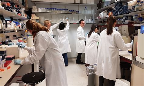 Jolly Lab | Jolly Lab - UCL – University College London