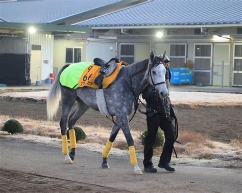 【注目馬動向】重賞2勝馬のスマイルカナは中山牝馬sへ Umatoku 馬トク