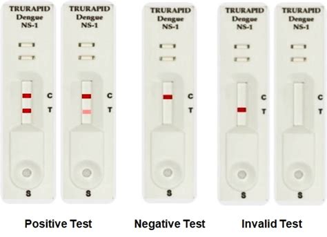 PCR based Molecular Diagnostic Kits.