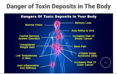 DANGERS OF TOXINS IN OUR BODIES – GlobalAplushealth