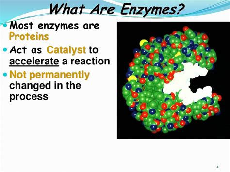 Enzymes Ppt Download