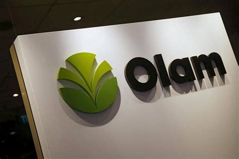 Olam Republic Of Gabon Joint Venture Gets Another Sustainable Palm Oil