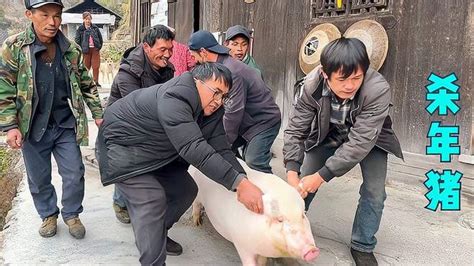 湖南大山杀年猪，妈妈辛苦半年，两头肥猪搞了450斤肉，开心坏了 三农视频 搜狐视频