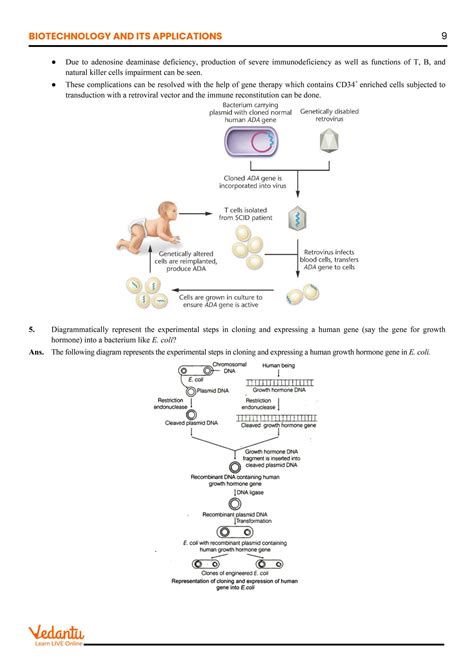 Solution Ncert Biotechnology And Its Applications Studypool