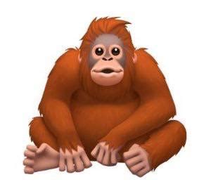 Monkey Attractive Sex R Morgz