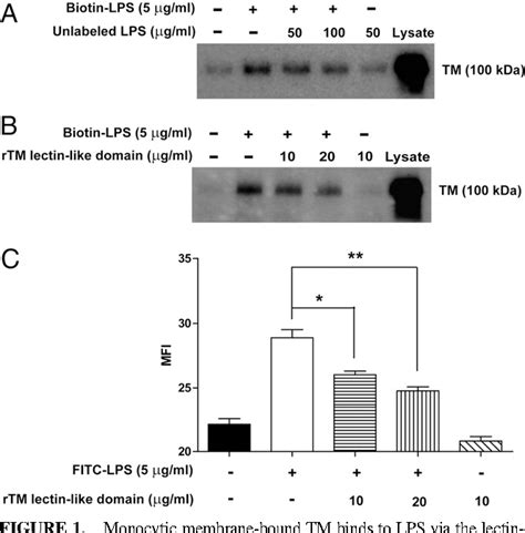 Figure 1 From Response Gram Negative Bacteria Induced Inflammatory