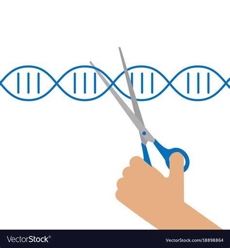 Manual Genetic Engineering Royalty Free Vector Image