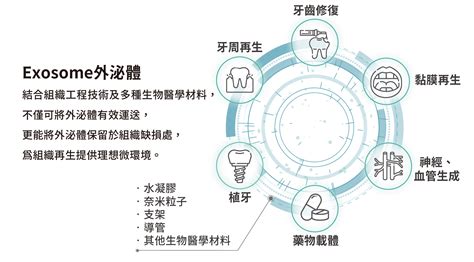 外泌體 鎂特斯轉譯科學實驗室