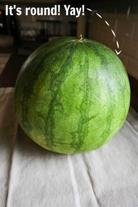 How To Choose The Perfect Watermelon The Creek Line House