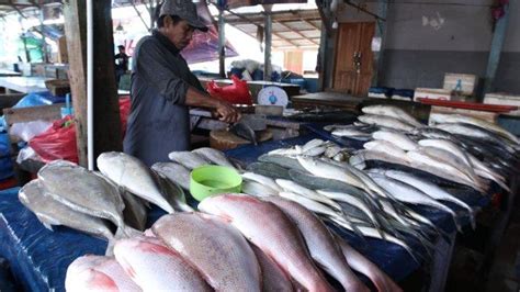 Cuaca Buruk Harga Ikan Di Gudang Lelang Telukbetung Selatan Naik Rp 5