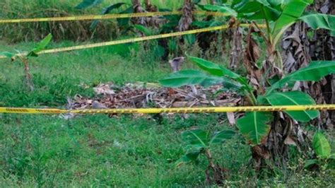 Siguen Las Masacres En Colombia Tres Personas Asesinadas En Arauca