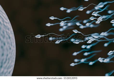 Sperm Egg Cell Fertilization Concept 3d Stock Illustration 551812093