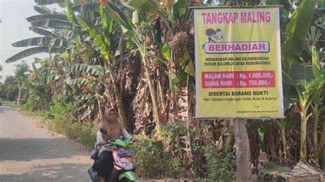 Ini Alasan Muncul Spanduk Sayembara Tangkap Maling Di Nganjuk Jawa