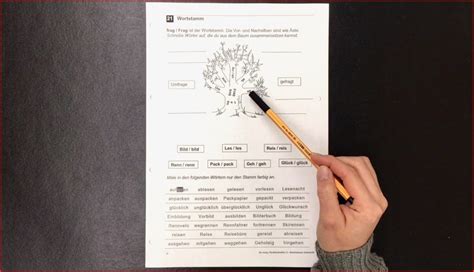 Unglaublich Wortstamm Arbeitsblatt Grundschule Kostenlos F R Sie