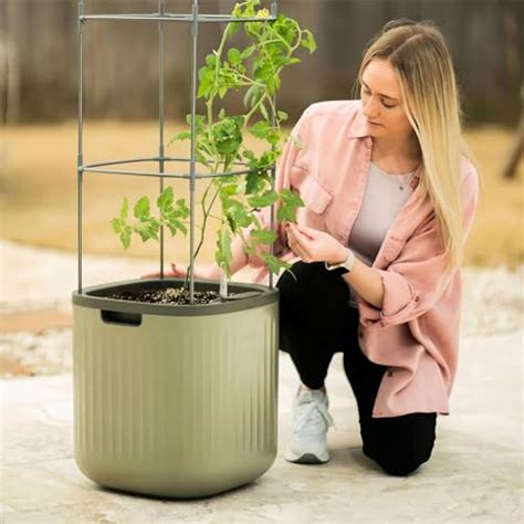 I Tested The Ultimate Tomato Planter With Trellis For Perfectly Plump