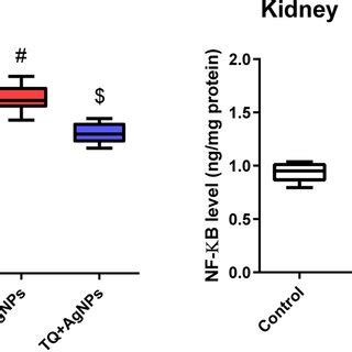 The Effect Of TQ On The MRNA Expression Of Nrf2 In The Liver And Kidney