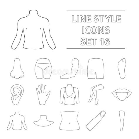 Part Of Body Set Icons In Outline Style Big Collection Of Part Of Body