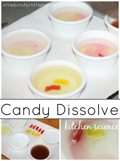 Candy Dissolve Science Experiment Little Bins For Little Hands