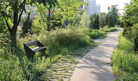 La Oms Asegura Que Las Zonas Verdes Juegan Un Papel Imprescindible En