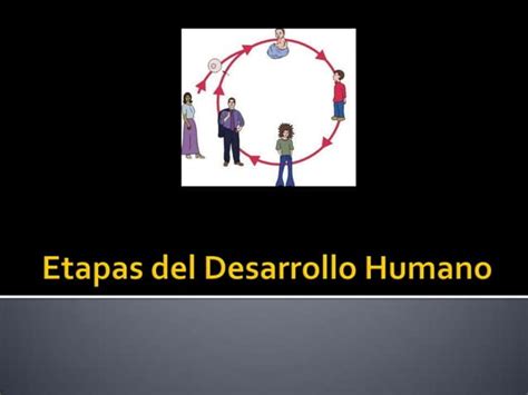 Etapas Del Desarrollo Humano Ppt