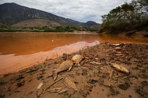 Río Doce Ubicación y todo lo que necesitas conocer sobre él