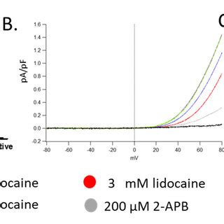 The Effect Of Lidocaine On TRPM7 Channels In HEK Cells A