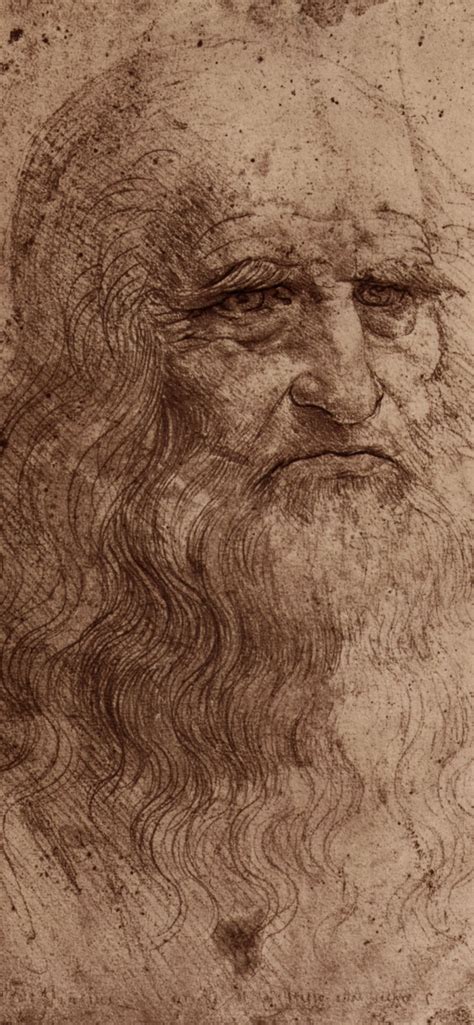 Leonardo Da Vinci Sketches Wallpaper