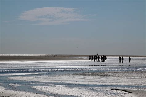 Que faire en Baie de Somme Notre liste d activités visites et