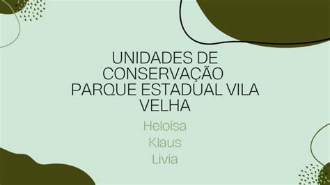 Unidade De Conserva O Parque Estadual De Vila Velha By Klaus E Schweizer