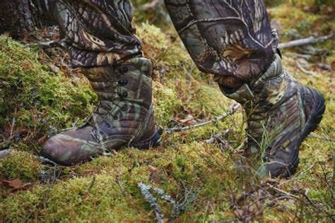 Правила поведения в лесу (6 фото): как себя вести, техники безопасности ...