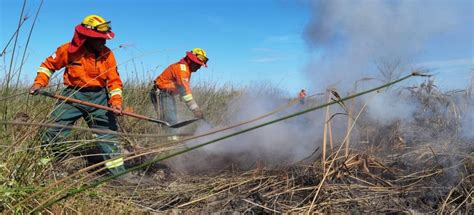 Abi En Bolivia Reportan Incendios En Municipios De Santa Cruz