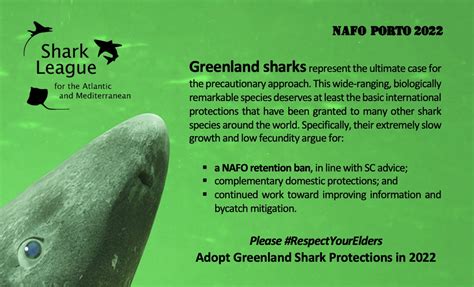 Greenland Shark Granted Historic International Protection - Shark ...