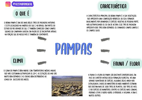 Biomas Brasileiros Mapa Mental Bioma Bioma Brasileiro
