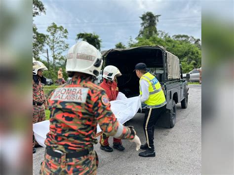 Seorang Maut Empat Cedera Proton Saga Bertembung Exora Kosmo Digital