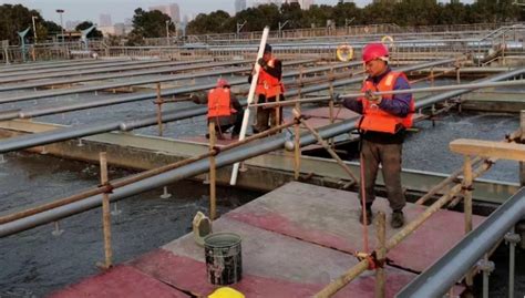 降本增效 中信环境技术湖北片区水厂修炼内功见实效tom资讯