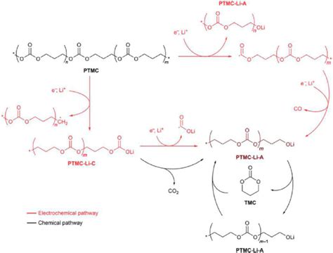 Schematic Illustration Of Possible Chemical And Electrochemical