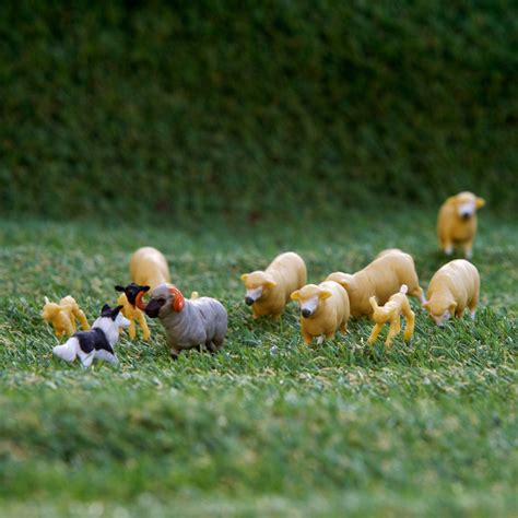 sheep toys 6