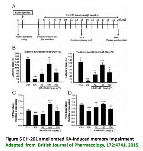 Mice model - AcaHealth Pharma & Biotech Co.,LTD