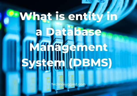 What Is Entity In A Database Management System Explained In Detail