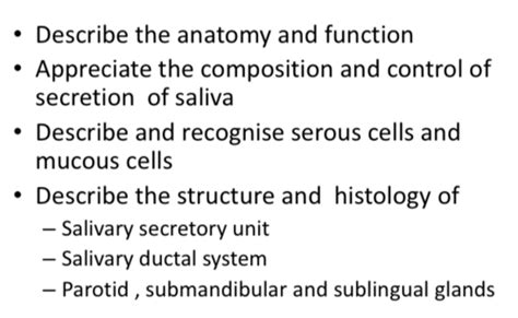 6 Salivary Glands Flashcards Quizlet