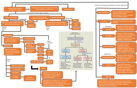 Tema InflamaciÓn Tisular Esquemas Y Mapas Conceptuales De Fisiopatología Docsity