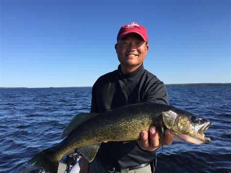 Meet Marc Bacigalupi The Dnrs New Northwest Region Fisheries Manager