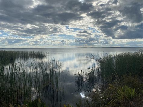 Lake Apopka : r/florida