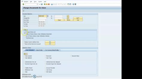 How To Display Change Documents For User In Su01 Sap Security Youtube